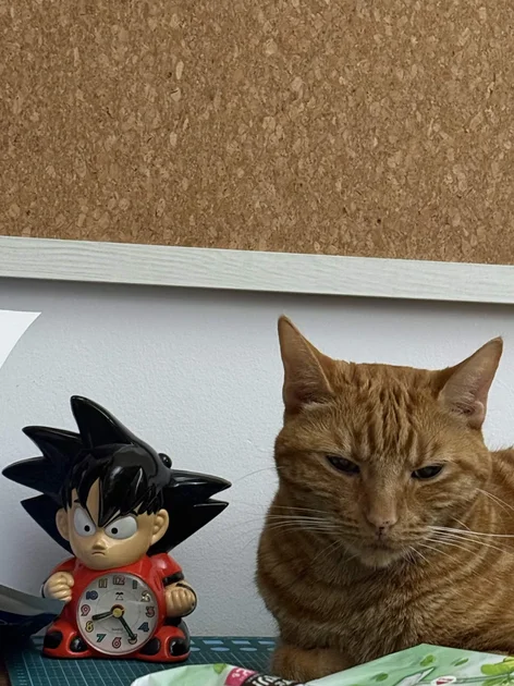 Alexis Ong's ginger cat looking demure, next to a Goku alarm clock.