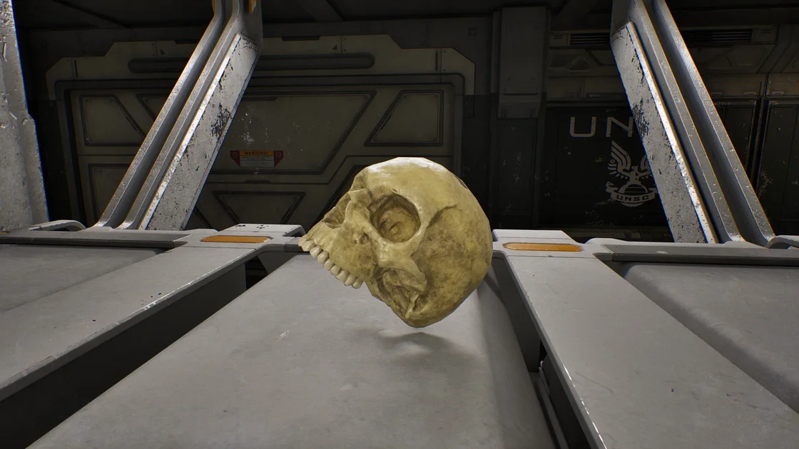 A Skull as it appears in Halo Campaign Evolved.