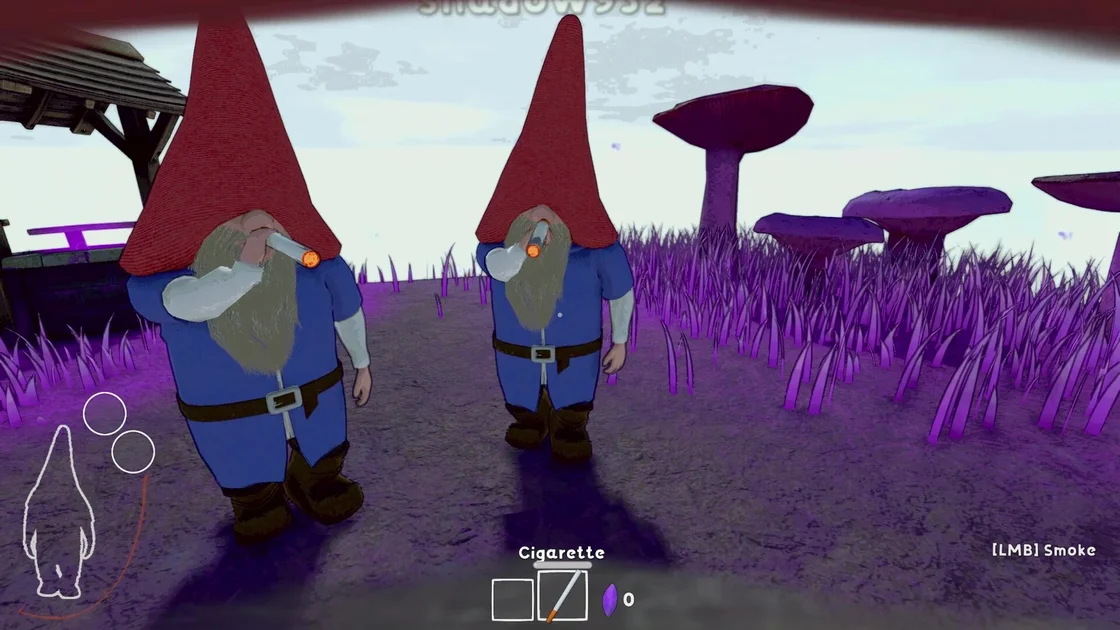 Burglin' Gnomes